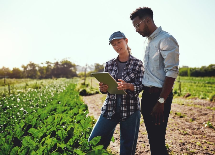 A consultant analyzing soil reports with a farmer