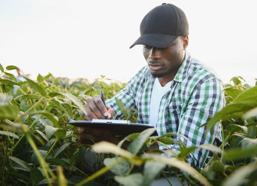 An image of a farmer examining seed quality using smart technology