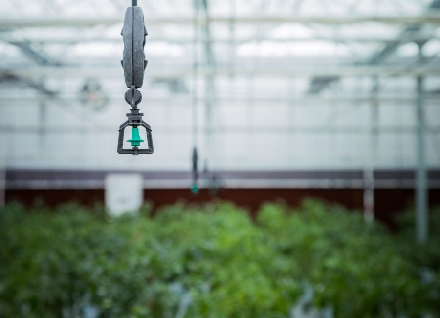 An image of a greenhouse with automated misting and temperature sensors